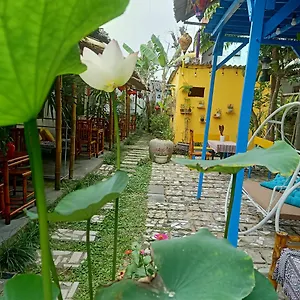 The Natural , Hội An Vietnam